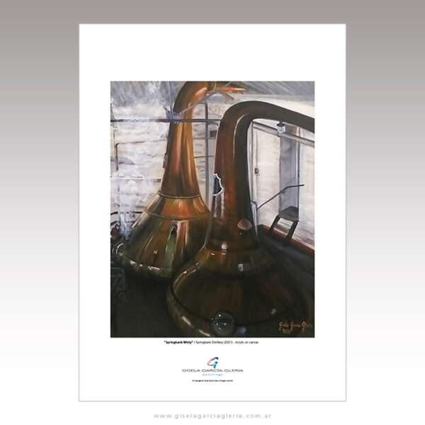 Springbank brumoso by Gisela Garcia Gleria