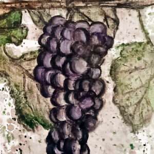 Viejo Cabernet Sauvignon by Gisela Garcia Gleria