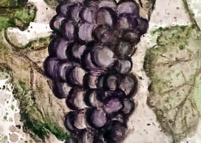Viejo Cabernet Sauvignon